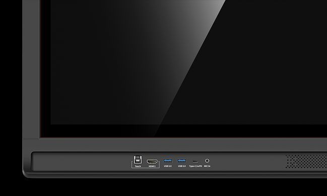 Newline Lyra Pro 65'' TT-8623QA фото