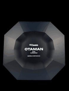 Верхня кришка для антени Skyrazor Otaman BV-002404 фото