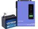 Anern AN-SCI-EVO-3200 (WI-FI) + ДВА LiFePO4 акумулятора 12V100AH Sorein Lithium Battery