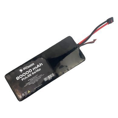 Аккумуляторная батарея Li-ion Skyrazor PULSE 6s16p Molicel P50B 80000 mAh спарка INR21700 BV-002323-1 фото