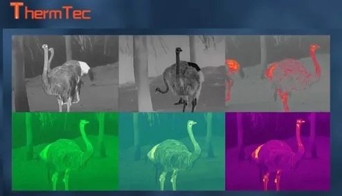 Тепловизионный монокуляр ThermEye Cyclops 335 Pro